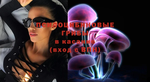 соль ск Туринск