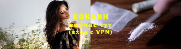 соль ск Туринск